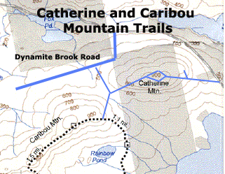 Catherine and Caribou Mountain Trails