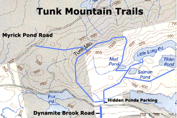 Tunk Mountain Trails